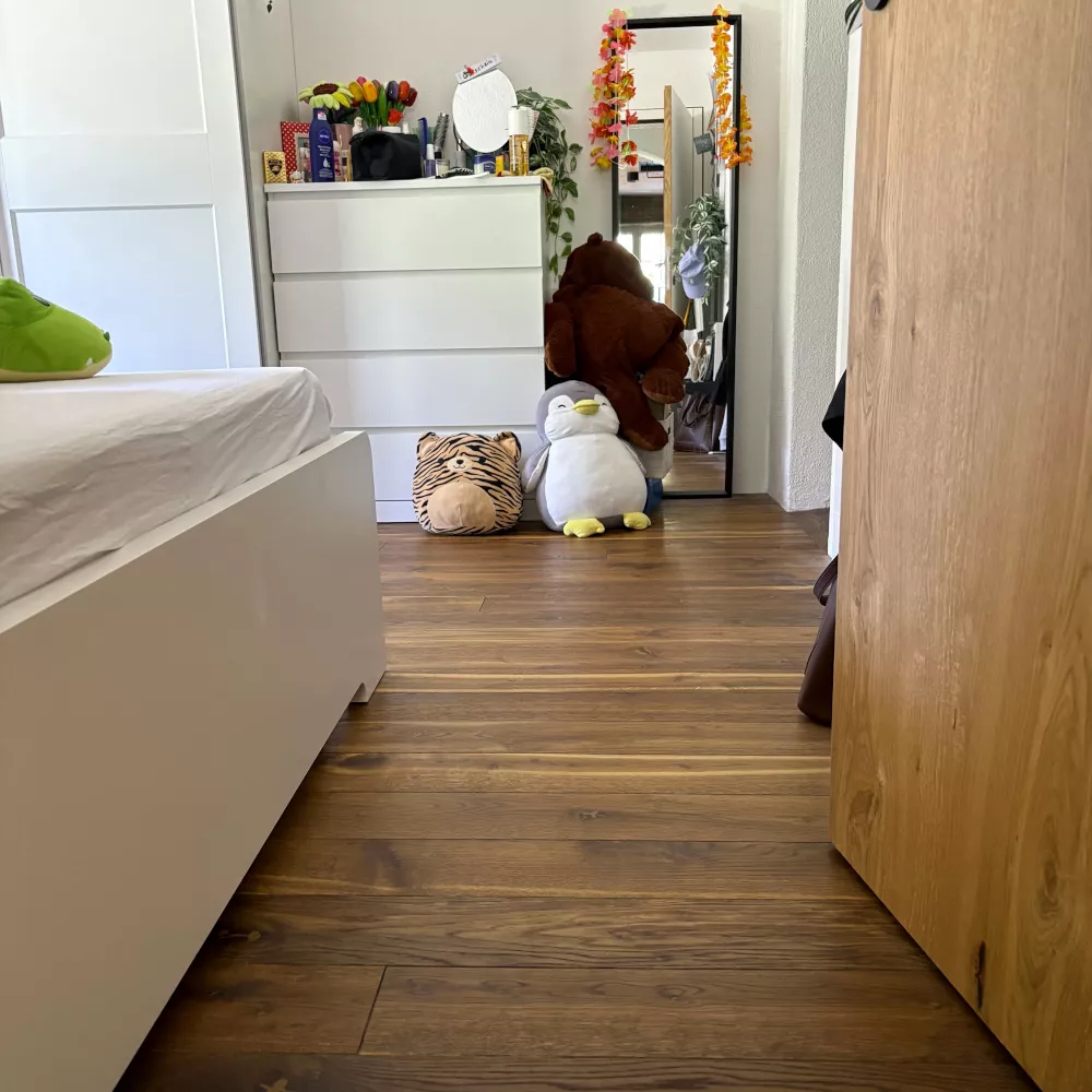 Chalet Schweiz, dunkles Parkett