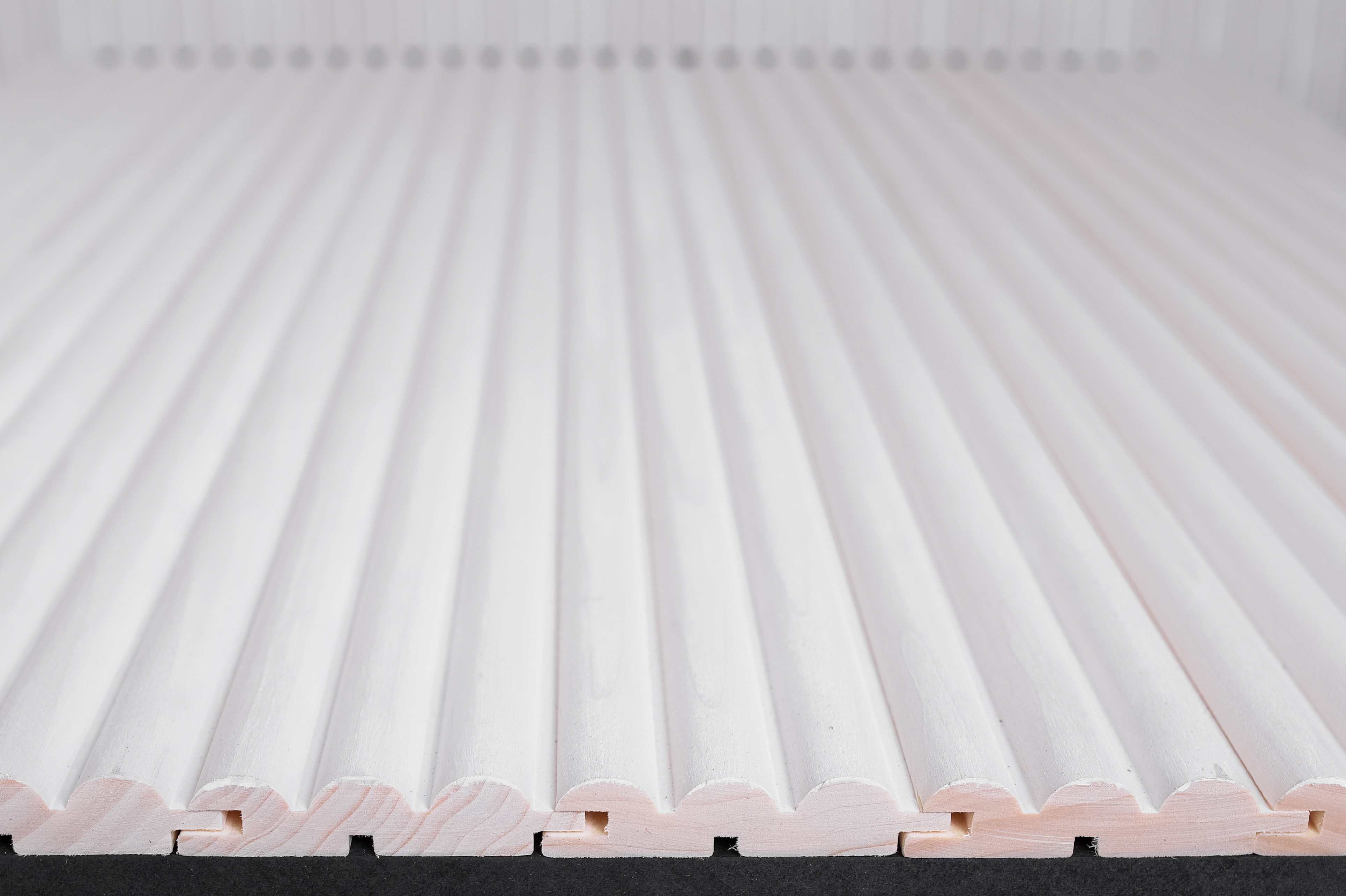 fotoieva.lv-4pluss2025-146