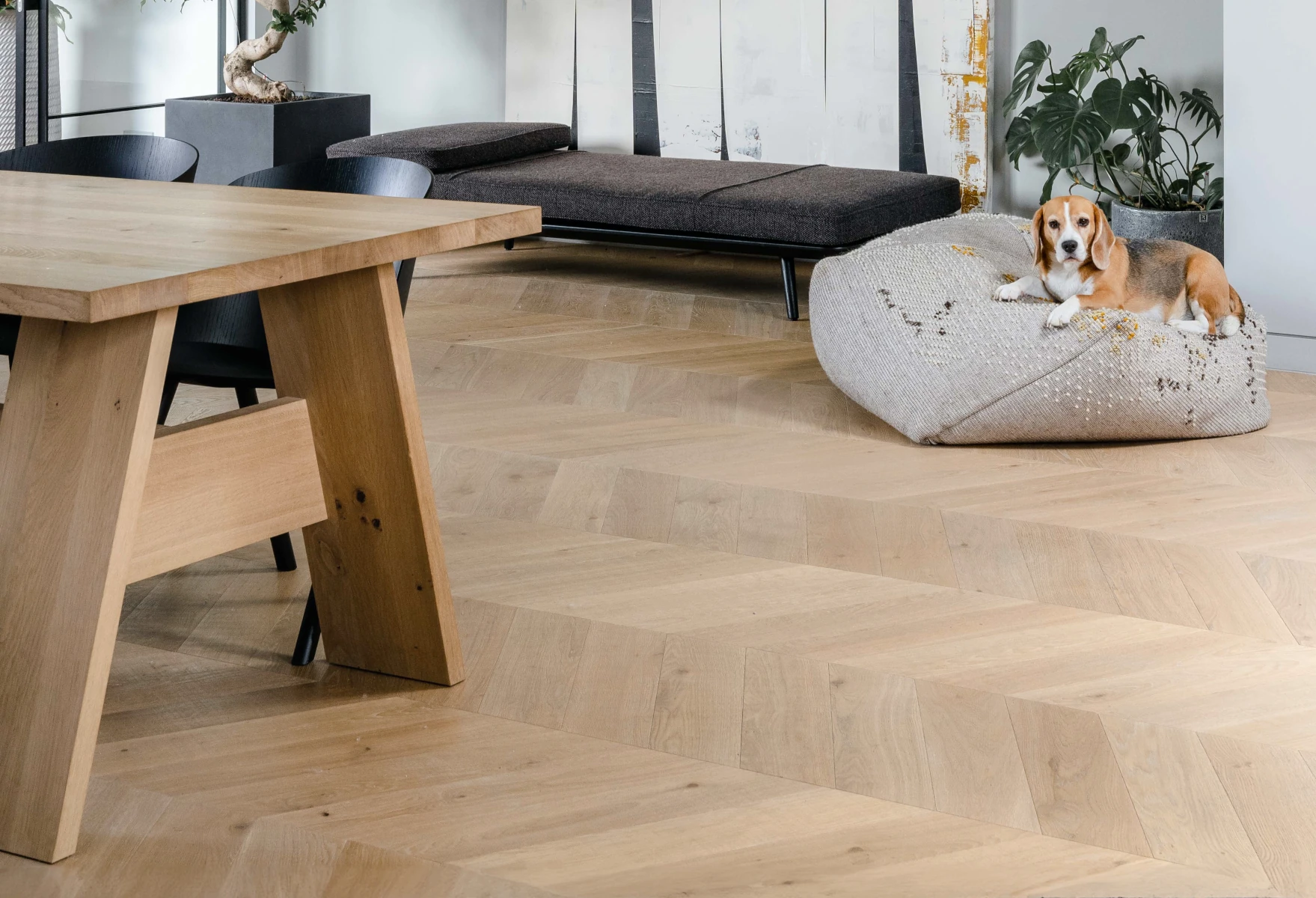 Französisches Fischgrät Clear White Sägerau Helles Chevron, Foto Giulia Maretti