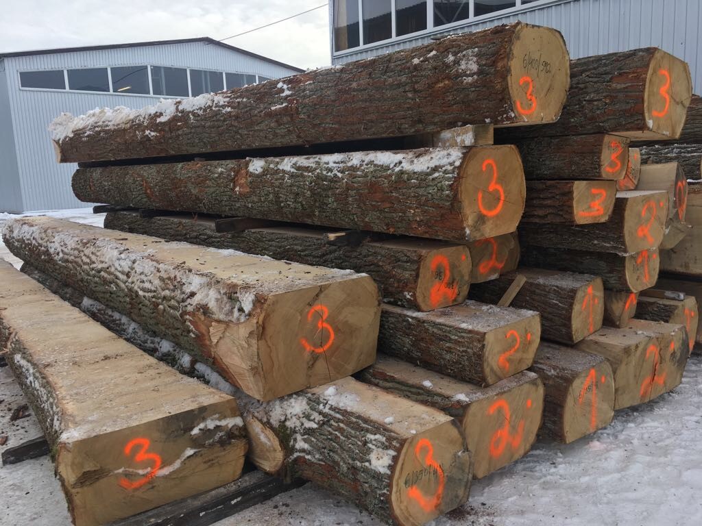 Rohholz Eiche für die Produktion von Schlossdielen