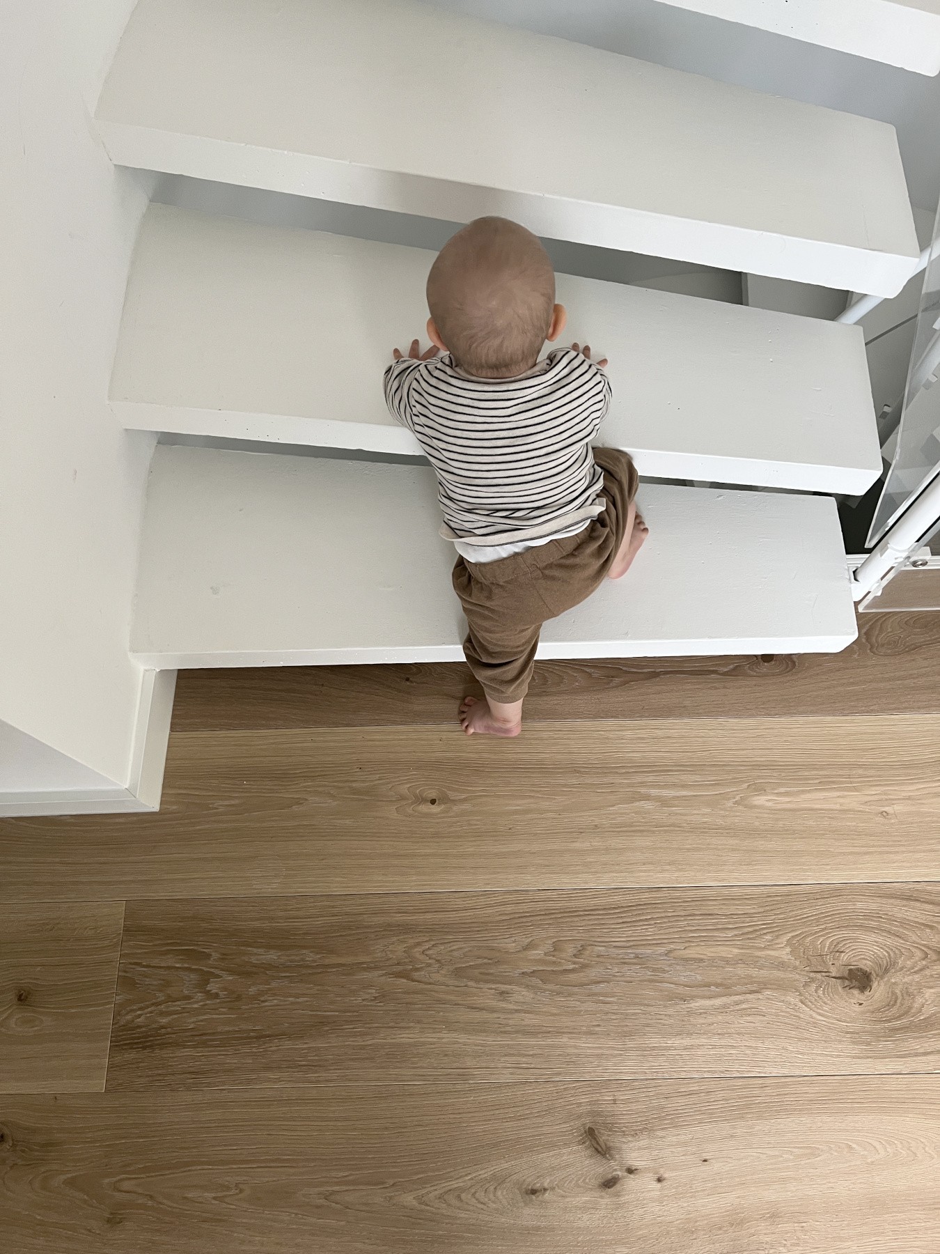 Helle Eichendielen im Farbton Clear White Landhausdielen Eiche im Familienheim