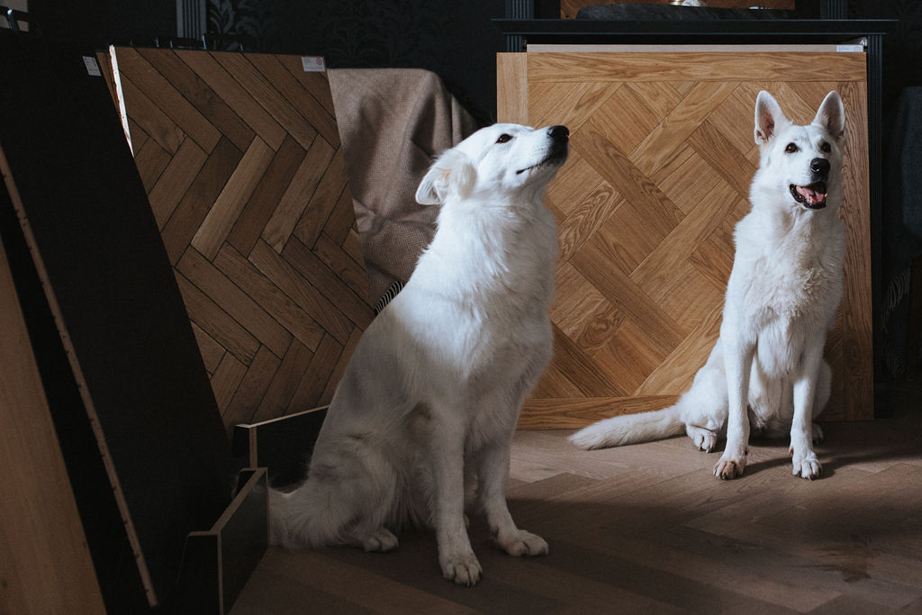Sägeraues Parkett: Die beste Lösung für Haushalte mit Hunden oder anderen Haustieren Sägeraues Parkett: Die beste Lösung für Haushalte mit Hunden oder anderen Haustieren