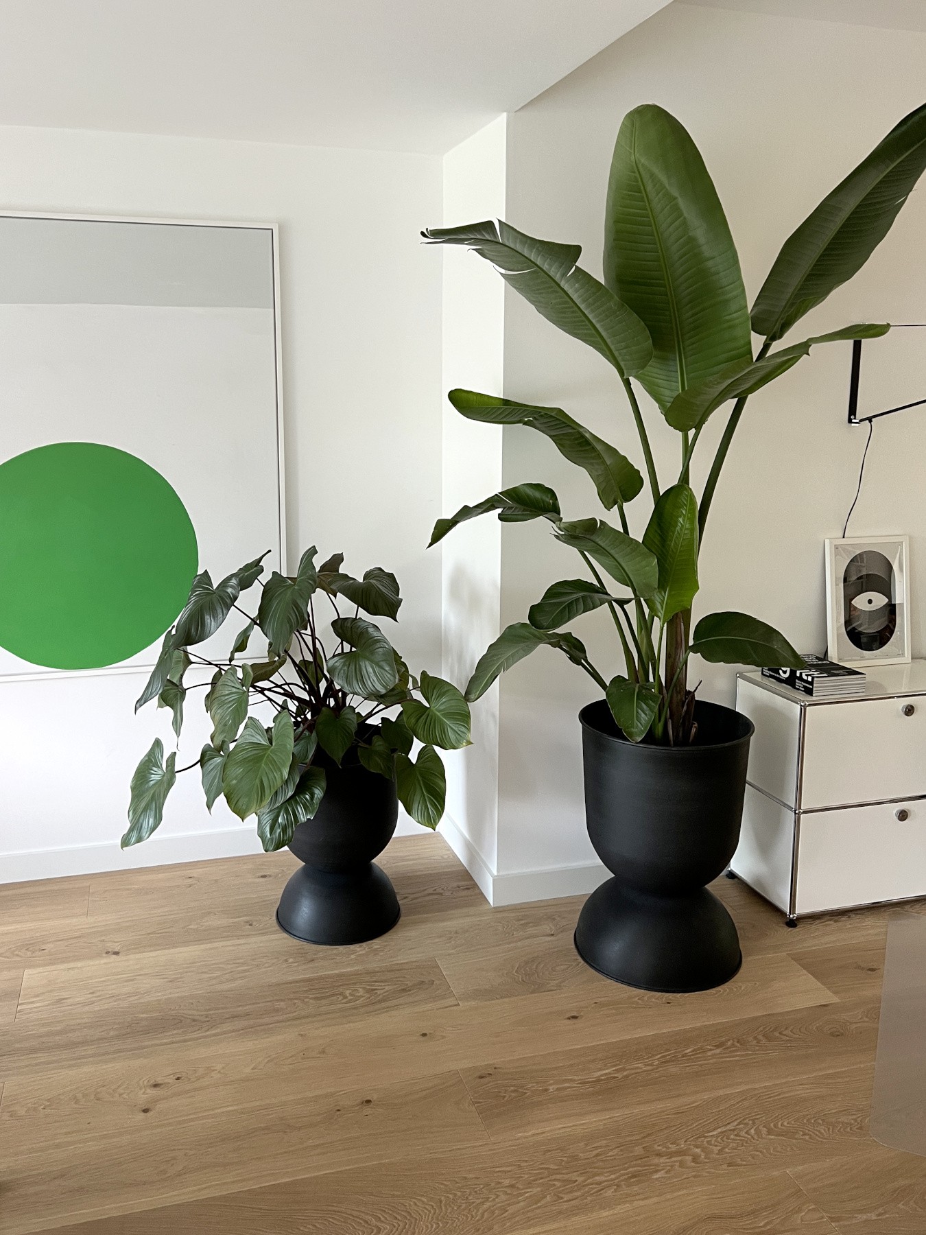 Helle Eichendielen im Farbton Clear White Landhausdielen Eiche im Familienheim