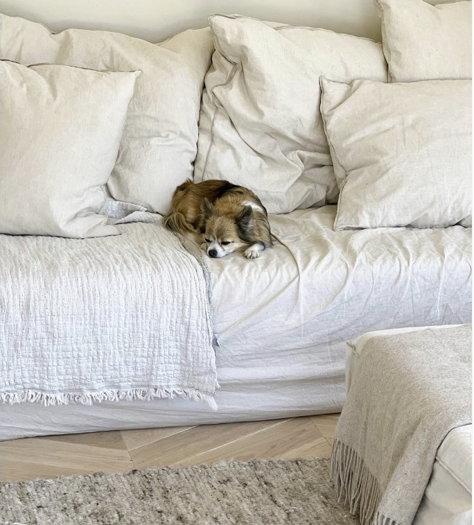 Auch die Familienhunde genießen die natürlichen Materialien im neuen Heim! Chevron Eichenparkett